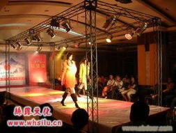 絲露文化傳播 武漢慶典與文藝演出的專業服務商